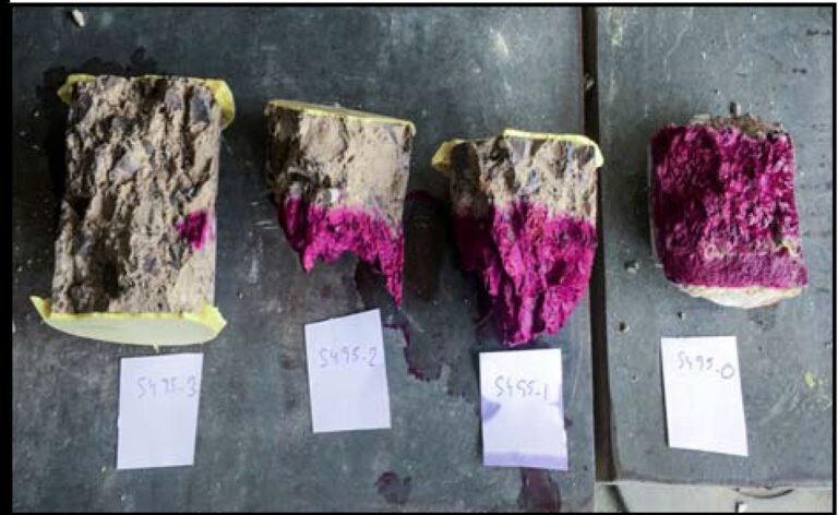 EXTRACCION DE DIAMANTINA Y ANALISIS ESTRUCTURAL